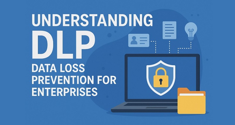 what is DLP