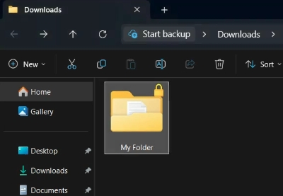 small lock-shaped symbol