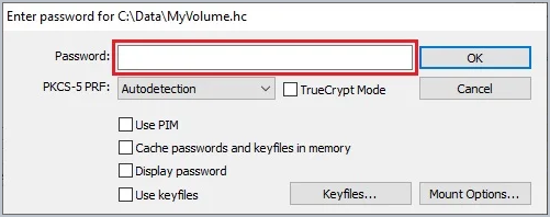 veracrypt prompting for the password to mount an encrypted container
