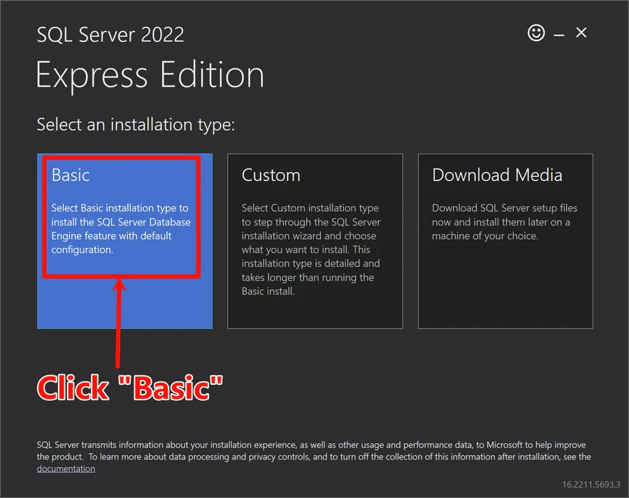 SQL Server installer: choose installation type