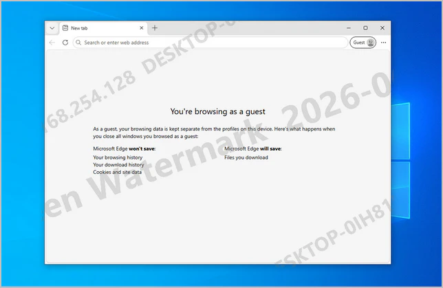 Application Watermark