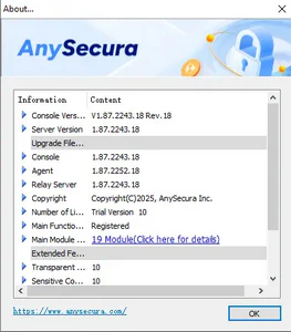 AnySecura System Upgrade interface
