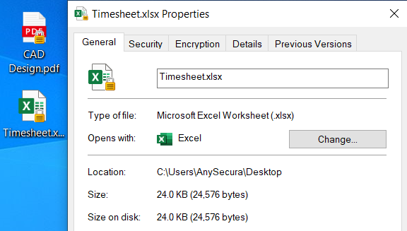 AnySecura File Explorer interface