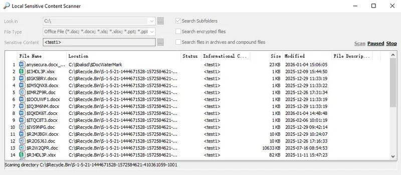 AnySecura Sensitive Information Scanning Tools interface